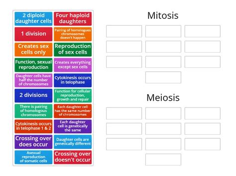 Vnsa3 Mitosis V Meiosis Group Sort