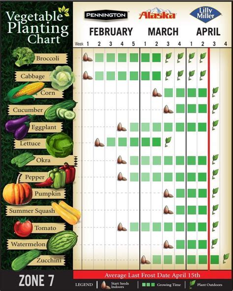 Growing Times For Vegetables Chart