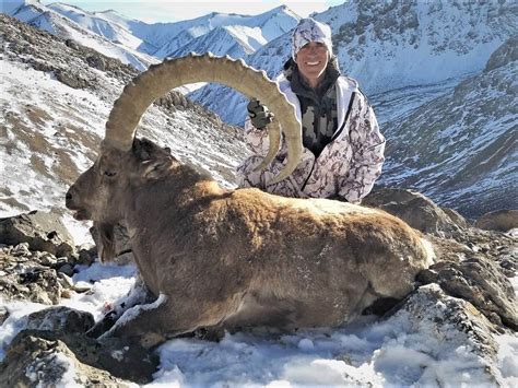 Mid Asian Ibex In Kyrgyzstan Worldwide Trophy Adventures