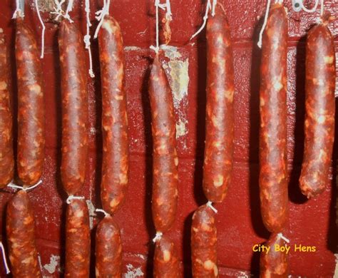 Slice and eat as lunchmeat, or serve on a tray with crackers and cheese. Making Salami | Sausage making recipes, Homemade sausage recipes, Dried sausage recipe