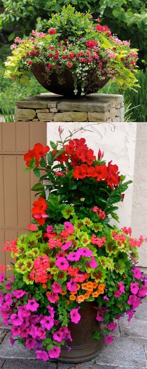 24 Stunning Container Garden Planting Designs Page 3 Of 3 A Piece