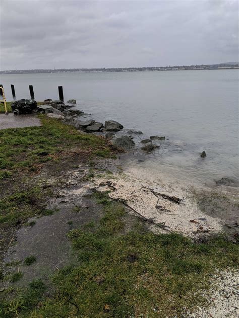 Tides Report: Bellingham, WA - MyCoast