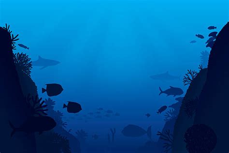 Royalty Free Ocean Floor Clip Art Vector Images And Illustrations Istock