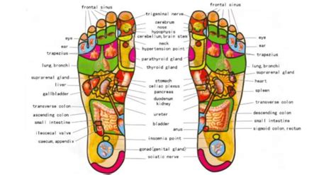 A Calming Ayurvedic Foot Massage You Must Try Gonutripro