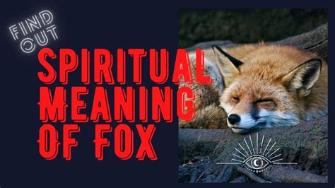 The Spiritual Meaning Of Fox And Fox Spirit Animal Video New Must Watch