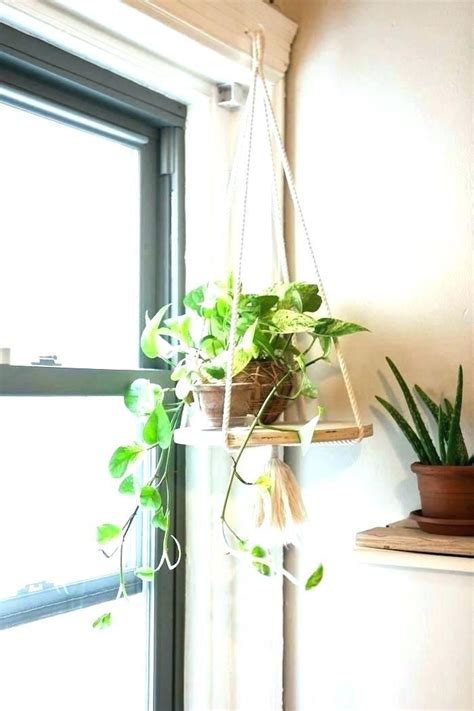 Window Plant Holder 1000 Window Plants Plant Stand Indoor Best