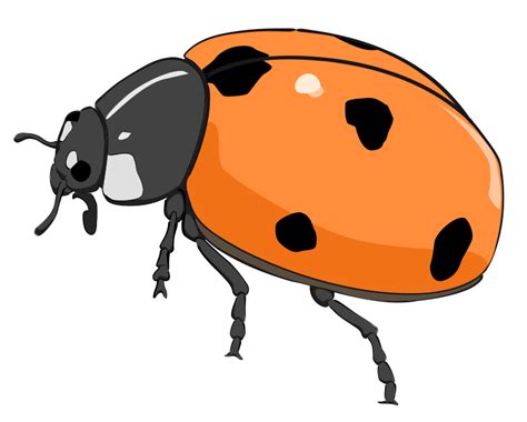 Free Orange Bug Cliparts Download Free Orange Bug Cliparts Png Images