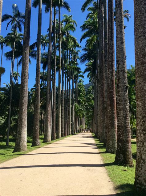 Jardim Botânico - Rio de Janeiro / Brasil. | Sidewalk ...