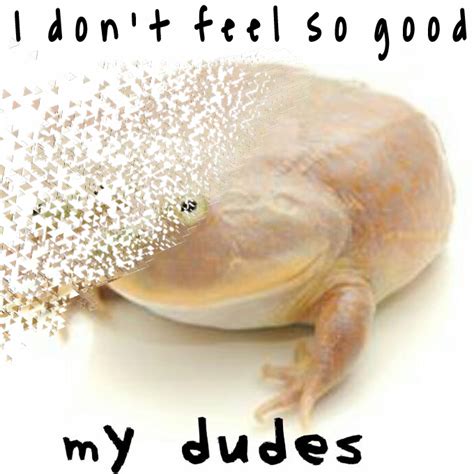 i don t feel so good my dudes disintegration effect i don t feel so good know your meme
