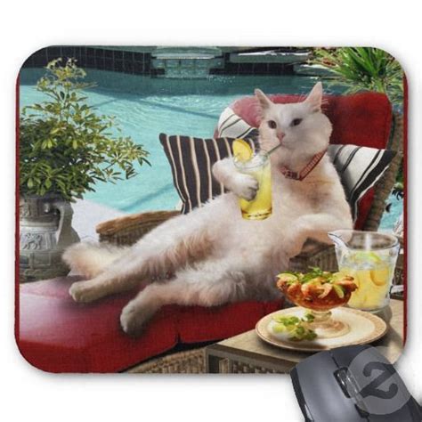 Mouse Pad A Cat Vacation Cat Vacation Cute Funny Animals Cats