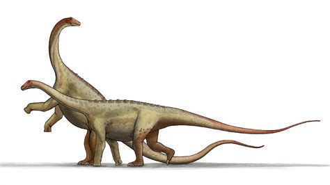 Filesaltasaurus Dinosaurpng Wikimedia Commons