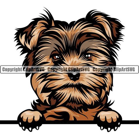 Free Yorkie Svg Files - 1034+ Best Free SVG File - Convert SVG to PNG