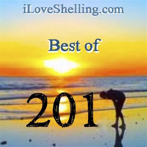 Best Of 2017 Ils Best Of 2017 Ils I Love Shelling