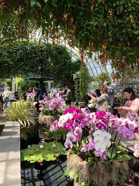The rush of new york can wait a while! The Orchid Show: Singapore at the New York Botanical ...