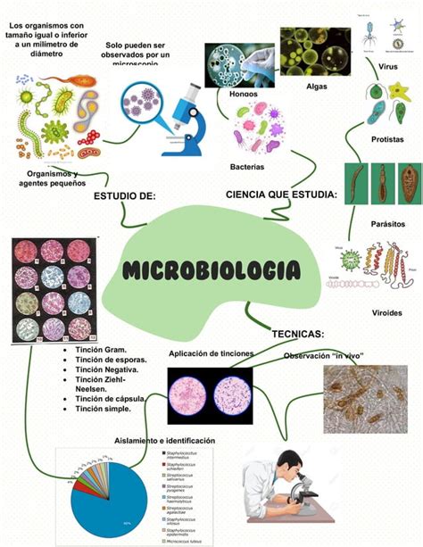 Mapa Mental De La Microbiologia Y Su Estudio Biologia Uac Ipdf