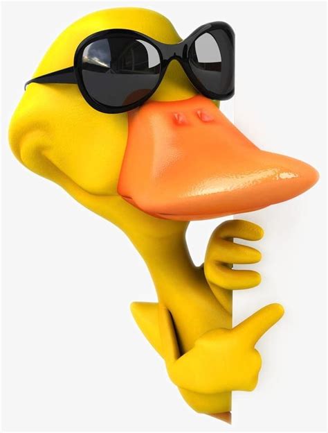 Cartoon Duck S Png Clipart 3d Cartoon Sunglasses Animal Animal Toys
