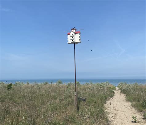 Do Cottages Belong In Ontarios Rondeau Provincial Park Canadas