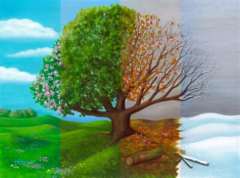 Response to man finds tree growing in lung. tree lungs - Covenant Companion : Covenant Companion