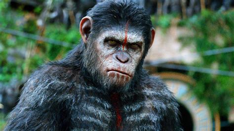 Review ‘dawn Of The Planet Of The Apes Is A 45 Minute