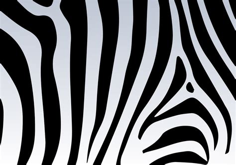 Zebra Print Vector Background Download Free Vector Art Stock