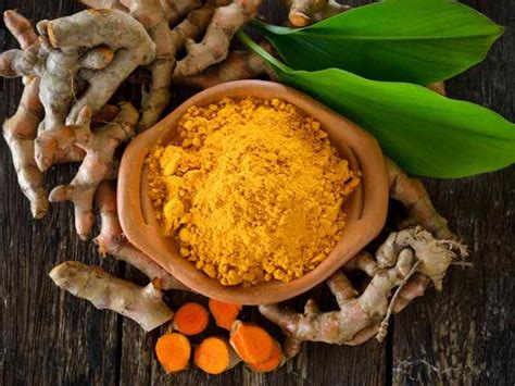 How To Grow Turmeric In Any Climate And Why You Should The Small Town