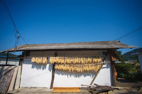 Free Images Landscape House Hut Shack Rural Corn The Korean