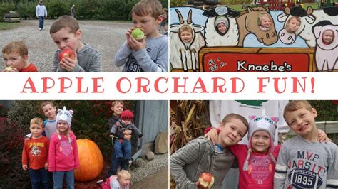 Knaebe S Apple Orchard Michigan Vlog Vlotober Day 10 Youtube