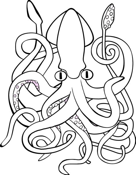 16 Giant Squid Coloring Pages - Printable Coloring Pages