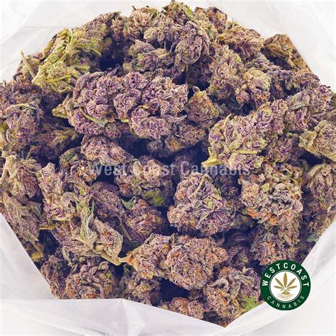 Buy Purple Runtz Aaa Online West Coast Cannabis