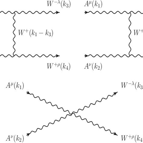 Feynman Diagrams Contributing To The γγ → W W Reaction At The Lowest
