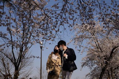 9 potret jennie blackpink saat berfoto . Selfie Taman Sakura - Bunga Tabebuya Bermekaran Jadi Ajang ...