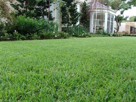 Organic Lawn Care Basics Convert Your Lawn To Organic In 6 Easy Steps