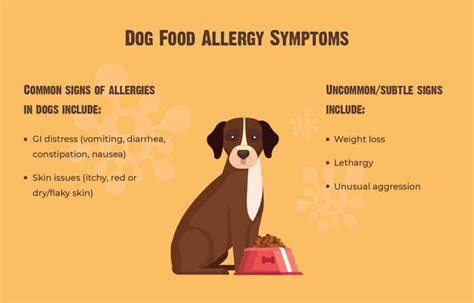 4 Common Dog Food Allergies And Symptoms Infographic