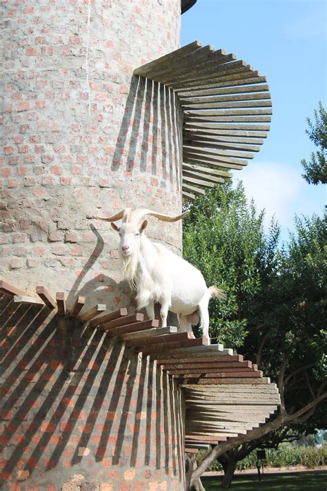 There Really Is A Goat Tower At The Fairview Wine Estate In South
