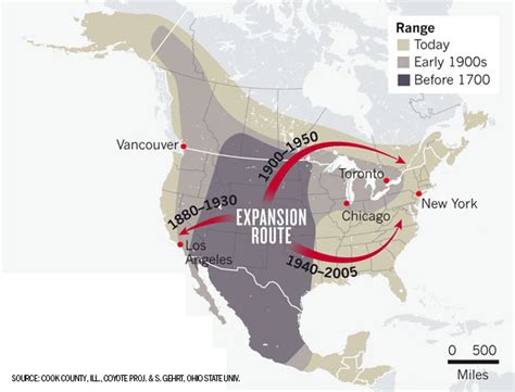 Coyote Expansion Map