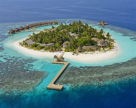 Die 10 Besten Maayafushi Island Angebote 2021 Tripadvisor