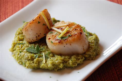 Seared Scallops With Savory Pea Puree Made Using Biotta Celery Juice Enjoy Scallops