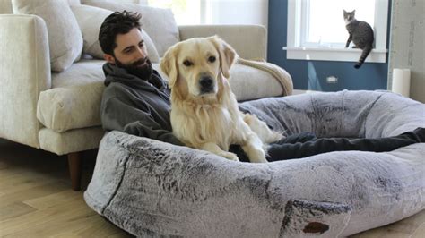 Plufl Human Dog Bed Review Heres Who Will Love This Product Reviewed