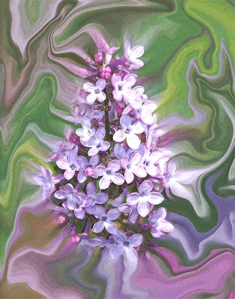 Lilac Abstract Digital Art By Ernie Echols Fine Art America