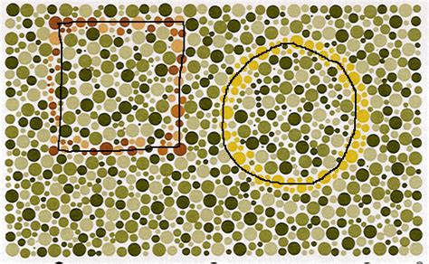 Color Vision Test Answers