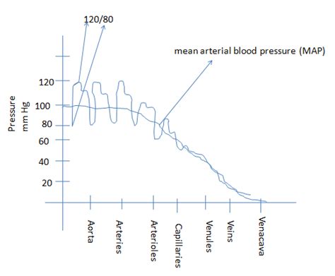 Mean Arterial Pressure Wise Hospitallity