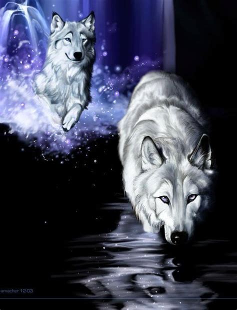 White Wolf Fantasy Wolves Photo 9128653 Fanpop