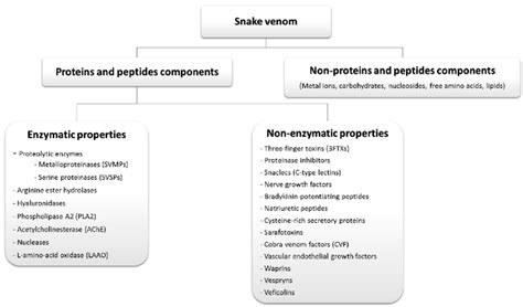 Snake Venom Composition Download Scientific Diagram