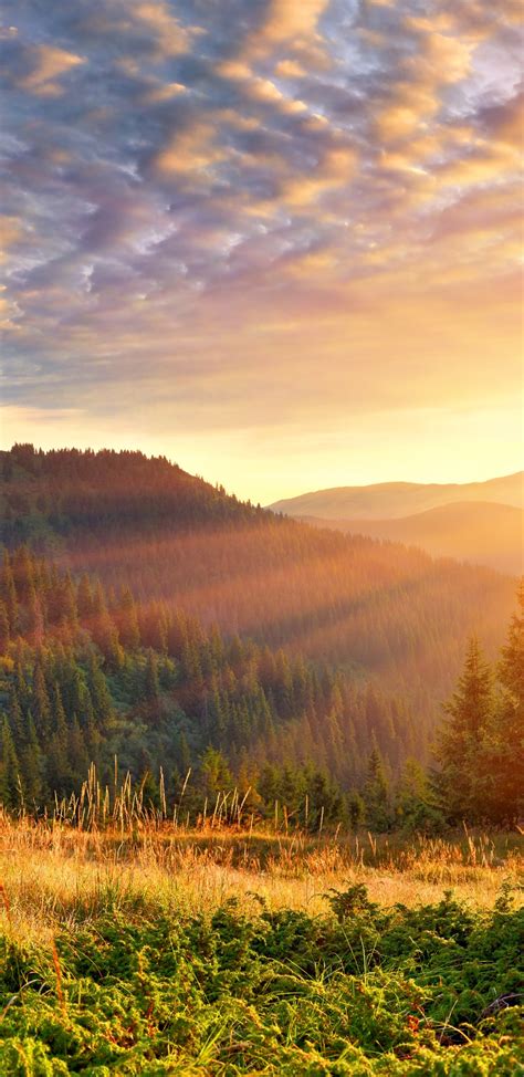 1440x2960 Mountain Scenery Morning Sun Rays 4k Samsung Galaxy Note 98