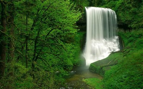 Forest Waterfall Windows 10 Theme - themepack.me