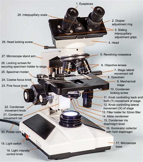 Microscope Magnification Calculation