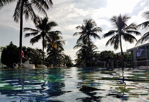 Palm Trees Around A Swimming Pool Pixahive