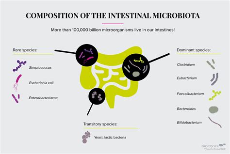 Intestinal Microbiota Biocodex Microbiote Institute