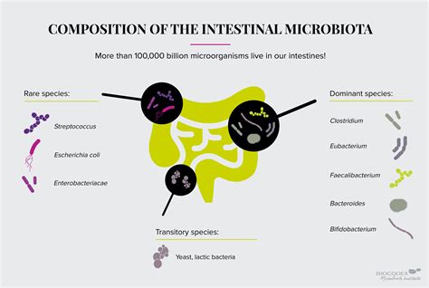 Com Relação Aos Componentes Hormonais Do Intestino Analise As Afirmativas