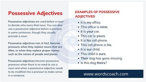 Possessive Adjectives Definition Usage Useful Examples Word Coach